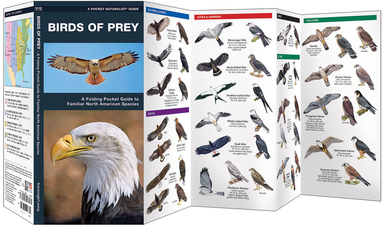 Birds of Prey Eagles Falcons – Emergency Survival Guide Bug Out Bag Kit Book