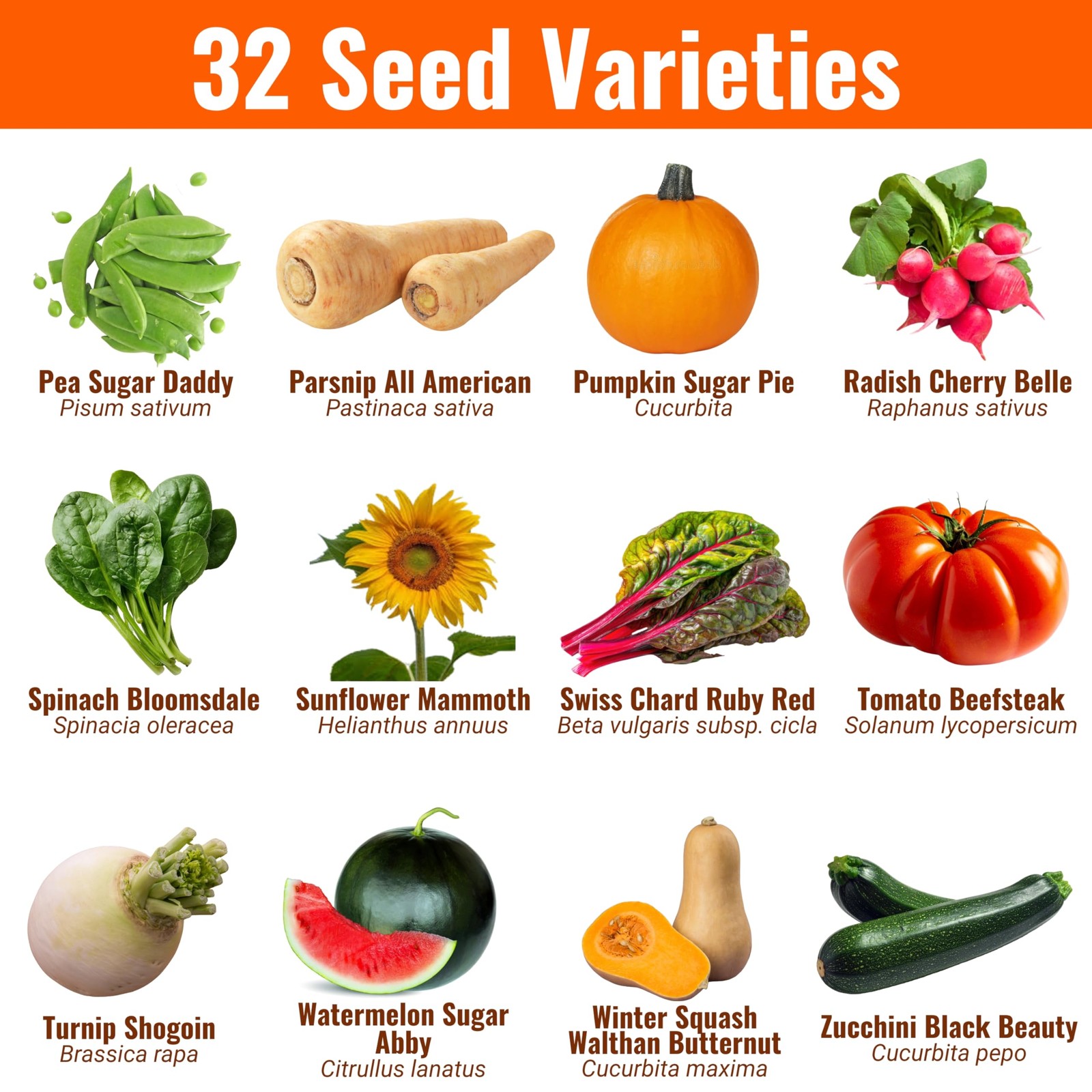 |15,000 Heirloom Seeds | 32 Seed Types | Survival Seeds | 2026 Season | Non G…