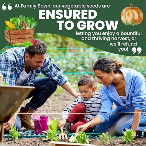 20 Vegetable Seed Packets | Survival Variety Pack | 2026 Season 20 Seed Packets