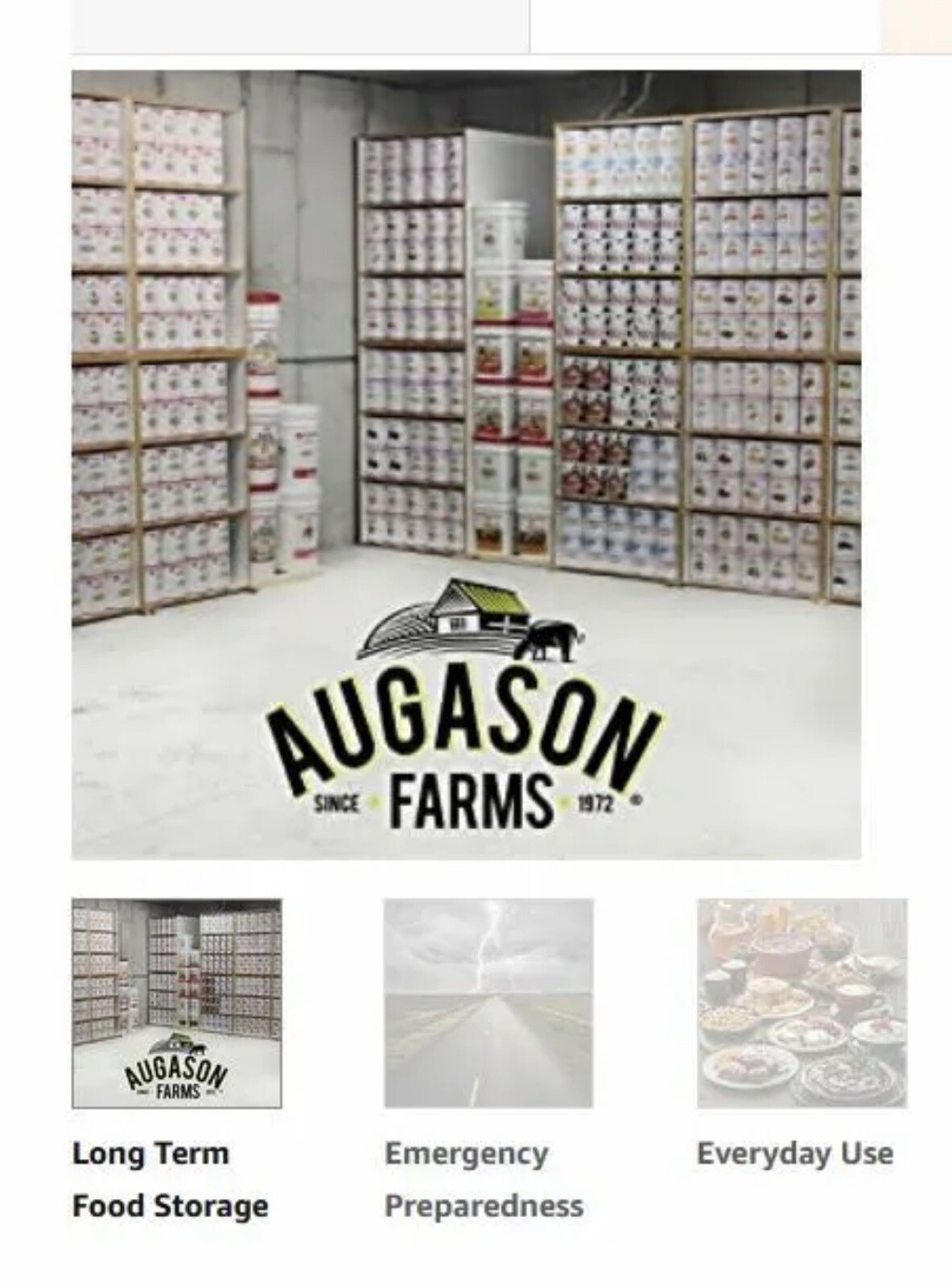 Augason Farms Beef Flavored Vegetarian Meat Substitute 2 Lbs 5 OZ No. 10 Can MRE