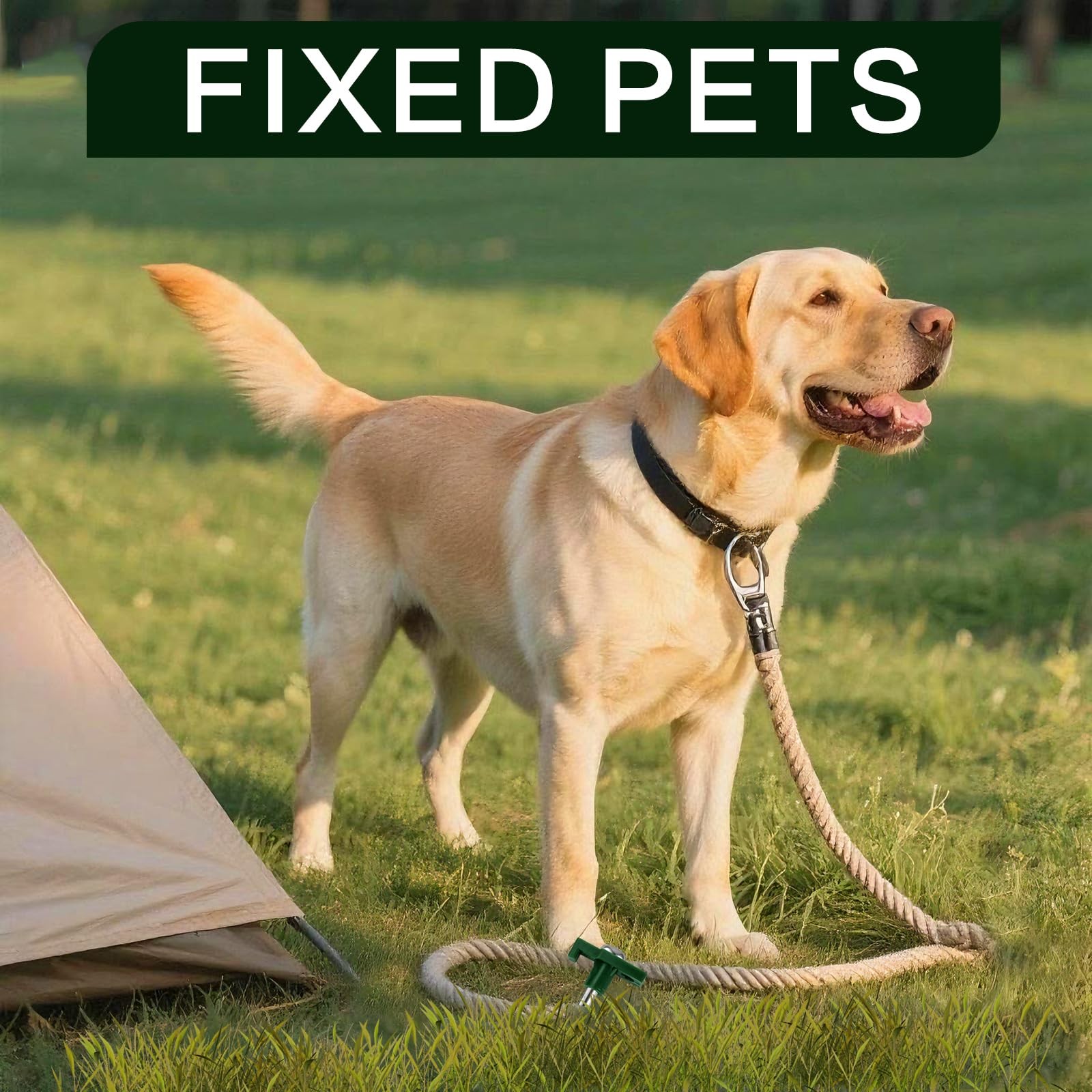 Nexboraque 10 Pack Tent Stakes – 9.75 Inch Galvanized Non-Rust Green 10Pcs