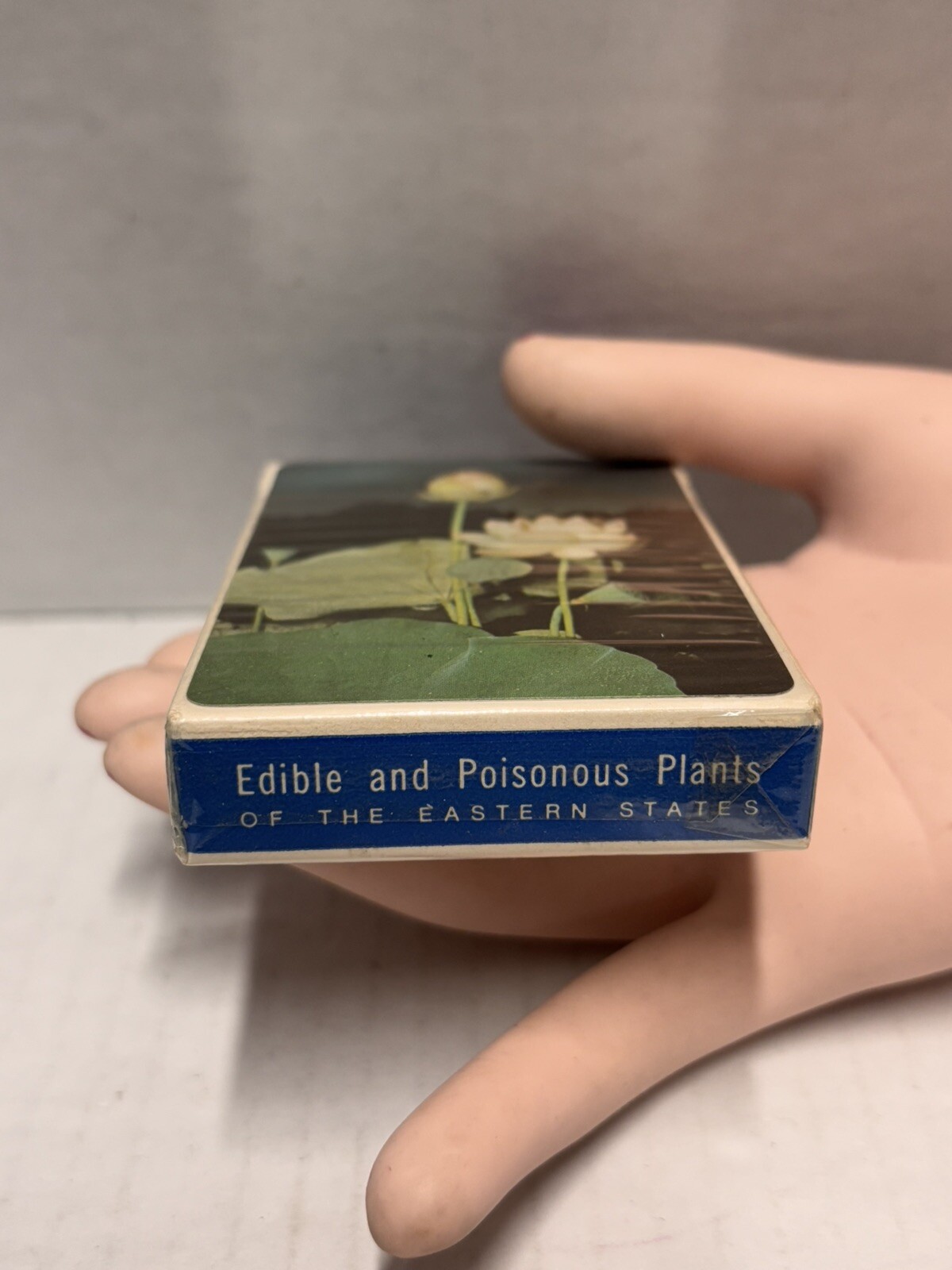 Edible and Poisonous Plant Reference Card Deck for Eastern United States Vintage