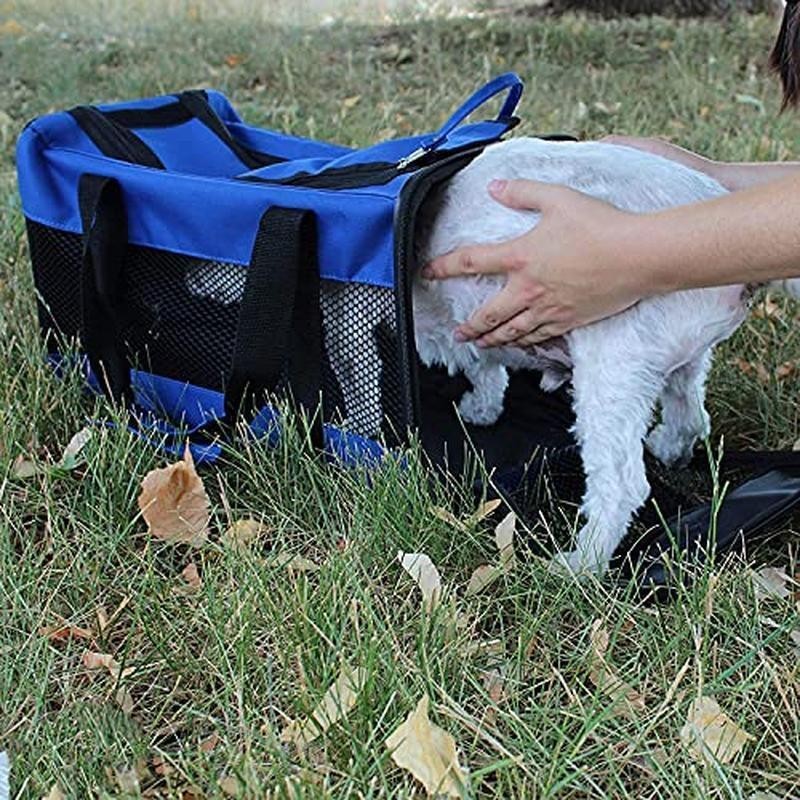 Small Dog Emergency Survival Kit First Aid Travel Food Water Blanket Toys New