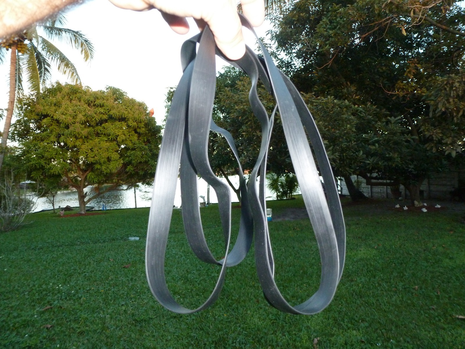 Giant Rubber Band 92″ X 3/4″ Secure Tarps Tents Camping Gear Survival Gear……