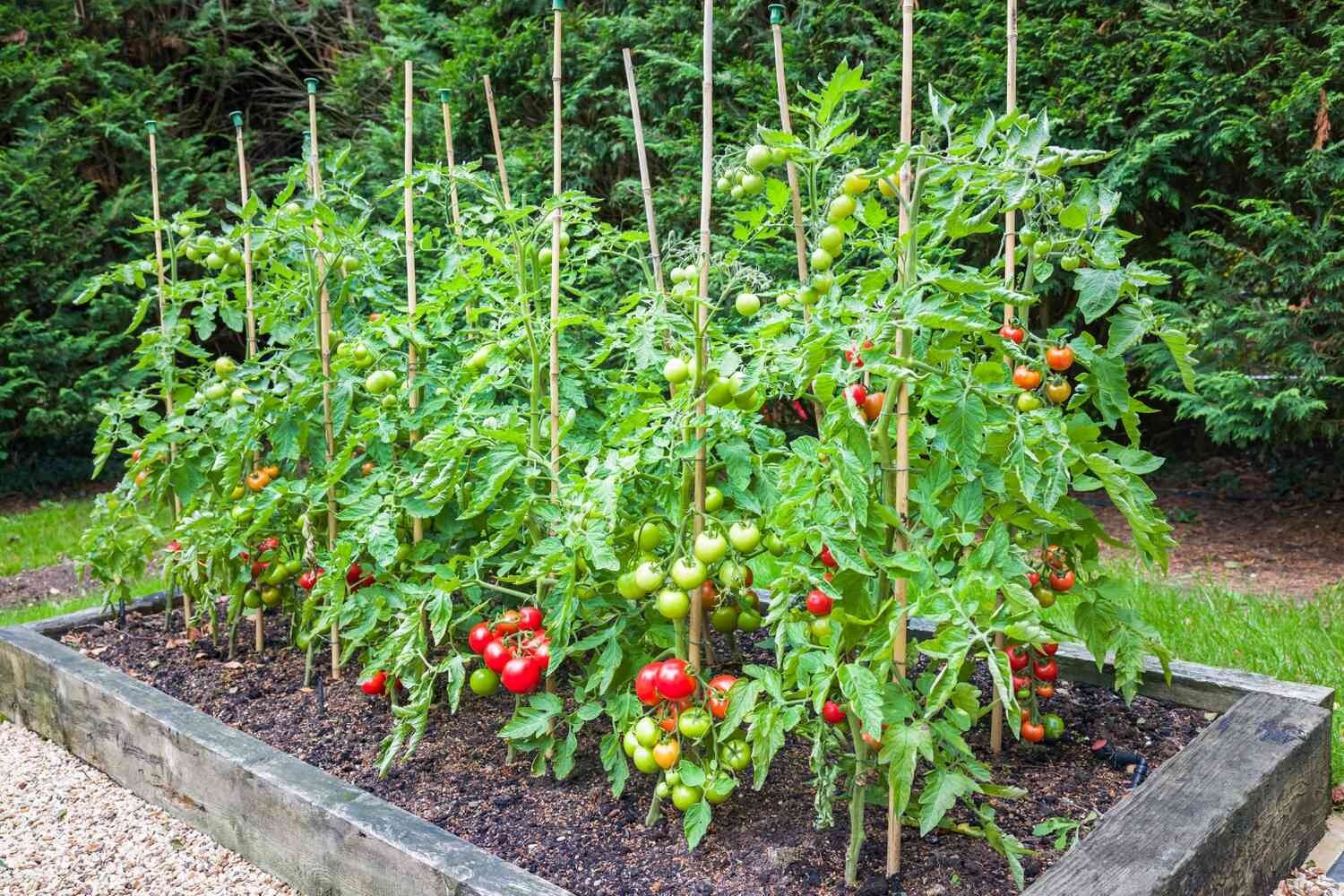 2.. 500 Total Feet Snare Trip Wire Green 26 Gauge Trip Alarm Camping Garden Bean