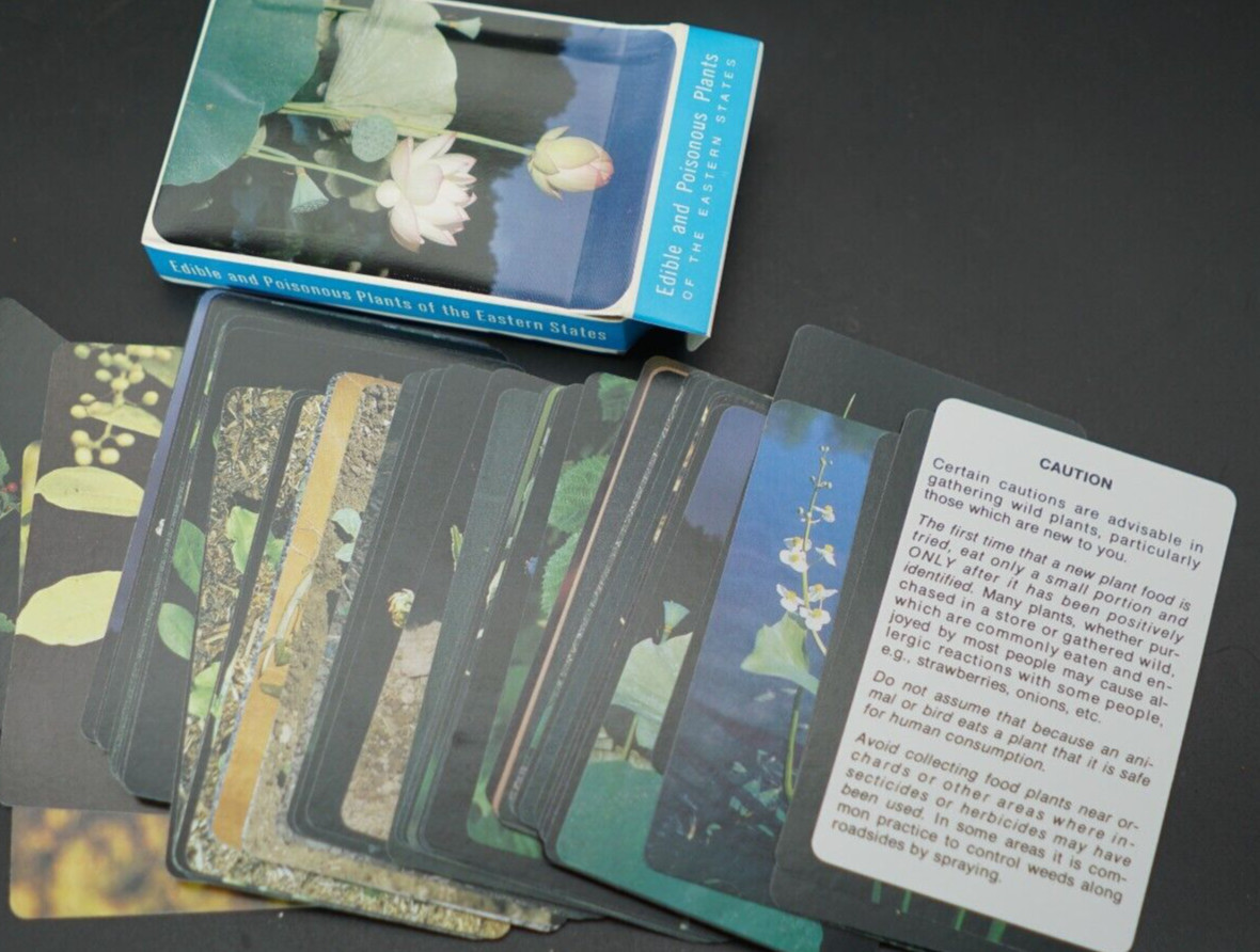 Edible & Poisonous Plant Reference Card Deck for Eastern United States, NOS