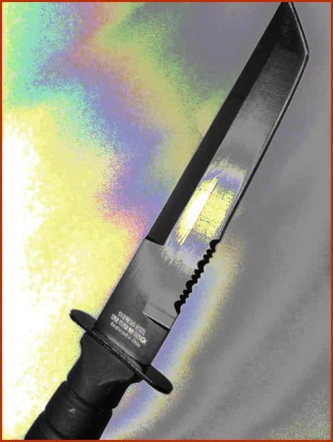 Fixed Blade Samurai Katana Tanto Style Knife + Bear Claw Karambit w Leather