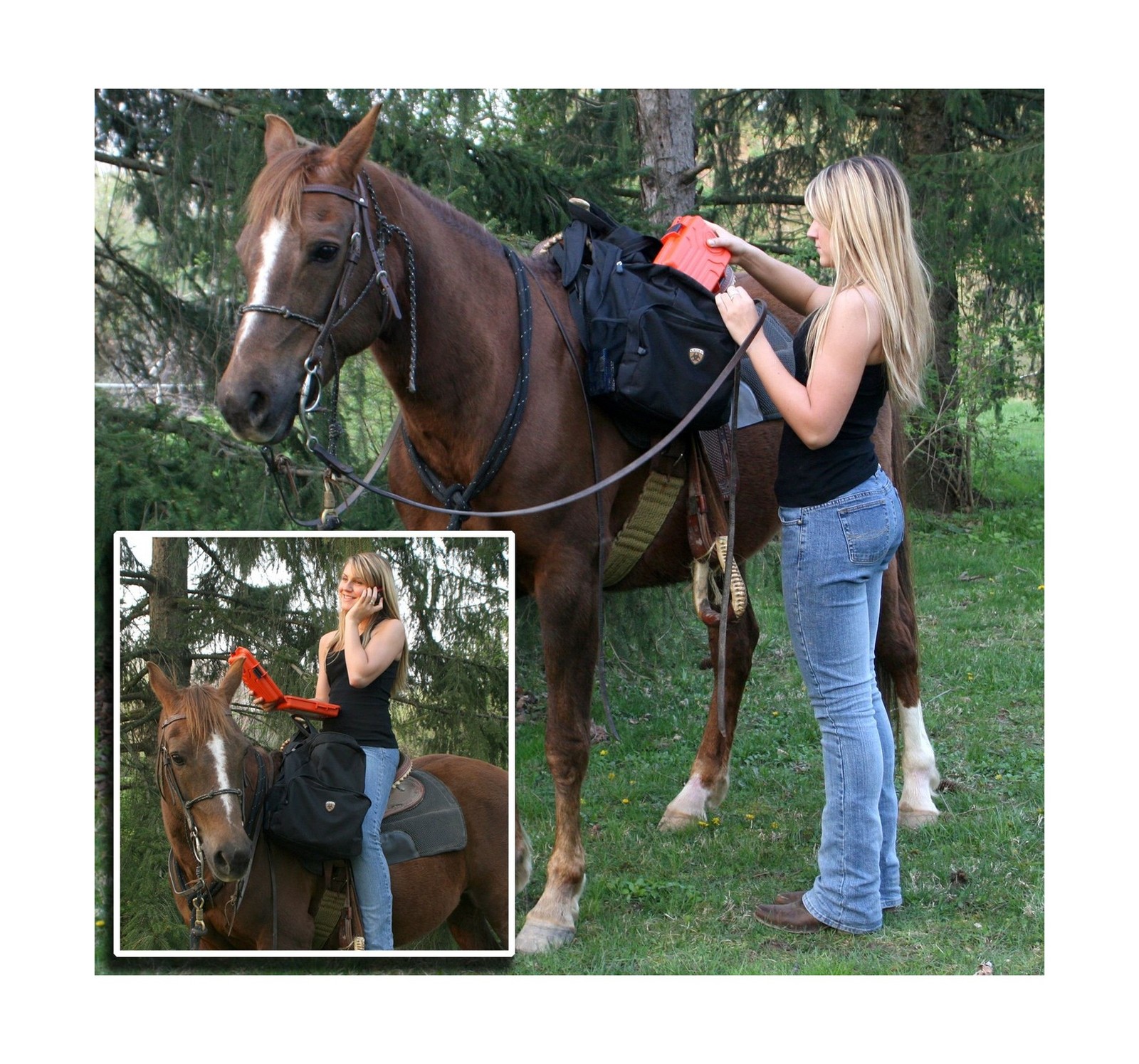 MTM Survivor Dry Box with O-Ring Seal (Orange, Large) Orange Fast Ship