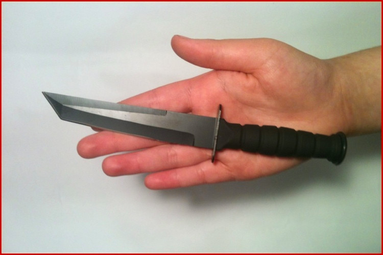 Fixed Blade Samurai Katana Tanto Style Knife + Bear Claw Karambit w Leather