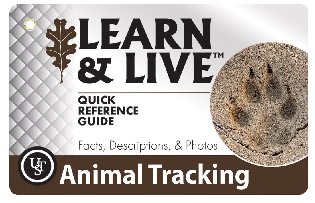 UST Learn & Live Educational Card Set, Animal Tracking