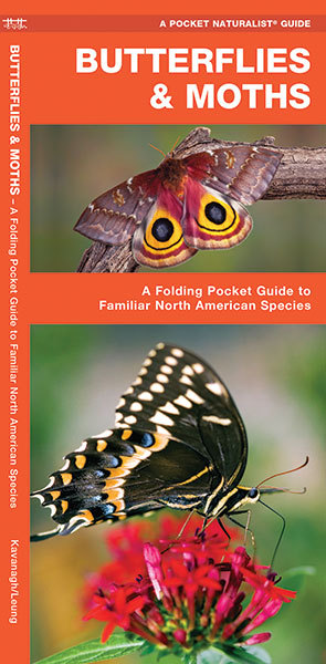 Butterflies & Moths – Camping Emergency Survival Guide Bug Out Bag Kit Book