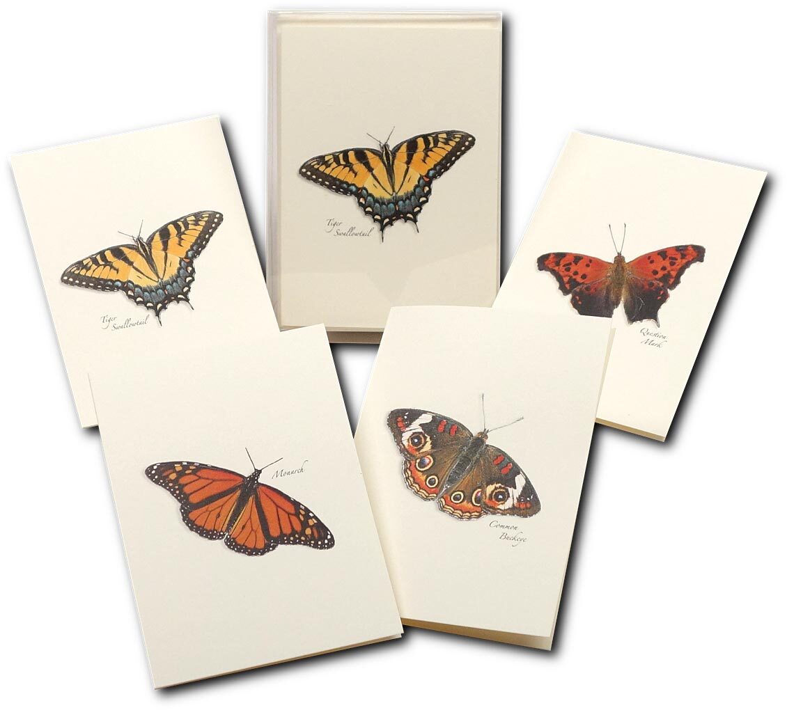 Earth Sky+Water Nature Note Cards: Beautiful Butterfly Notecards – Perfect