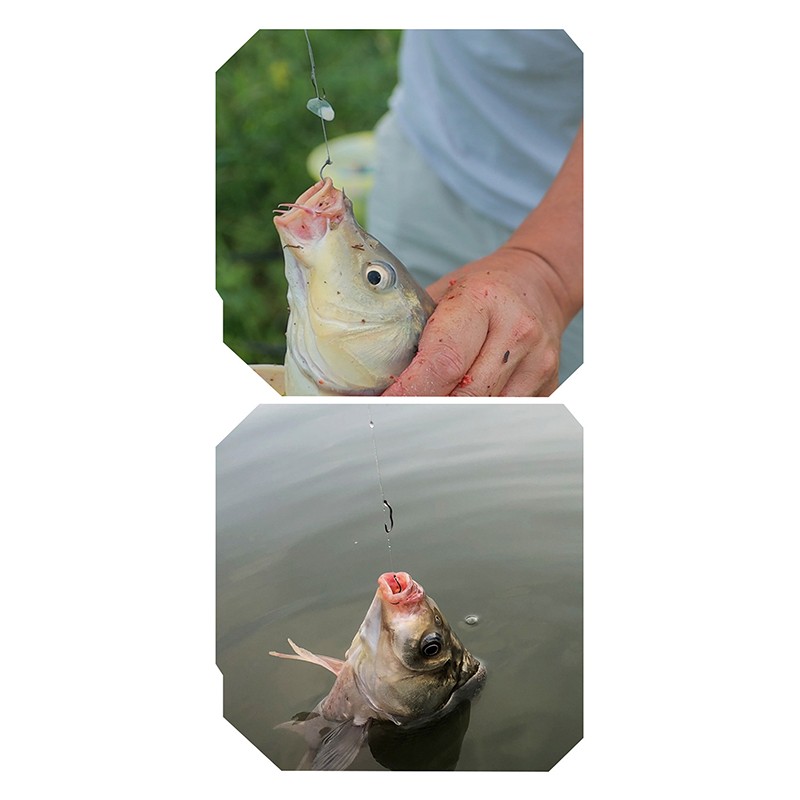 Fishing Hook Sharp Barbless Automatic Flip 12Pcs/Pack Fishhook For Carp Fishing