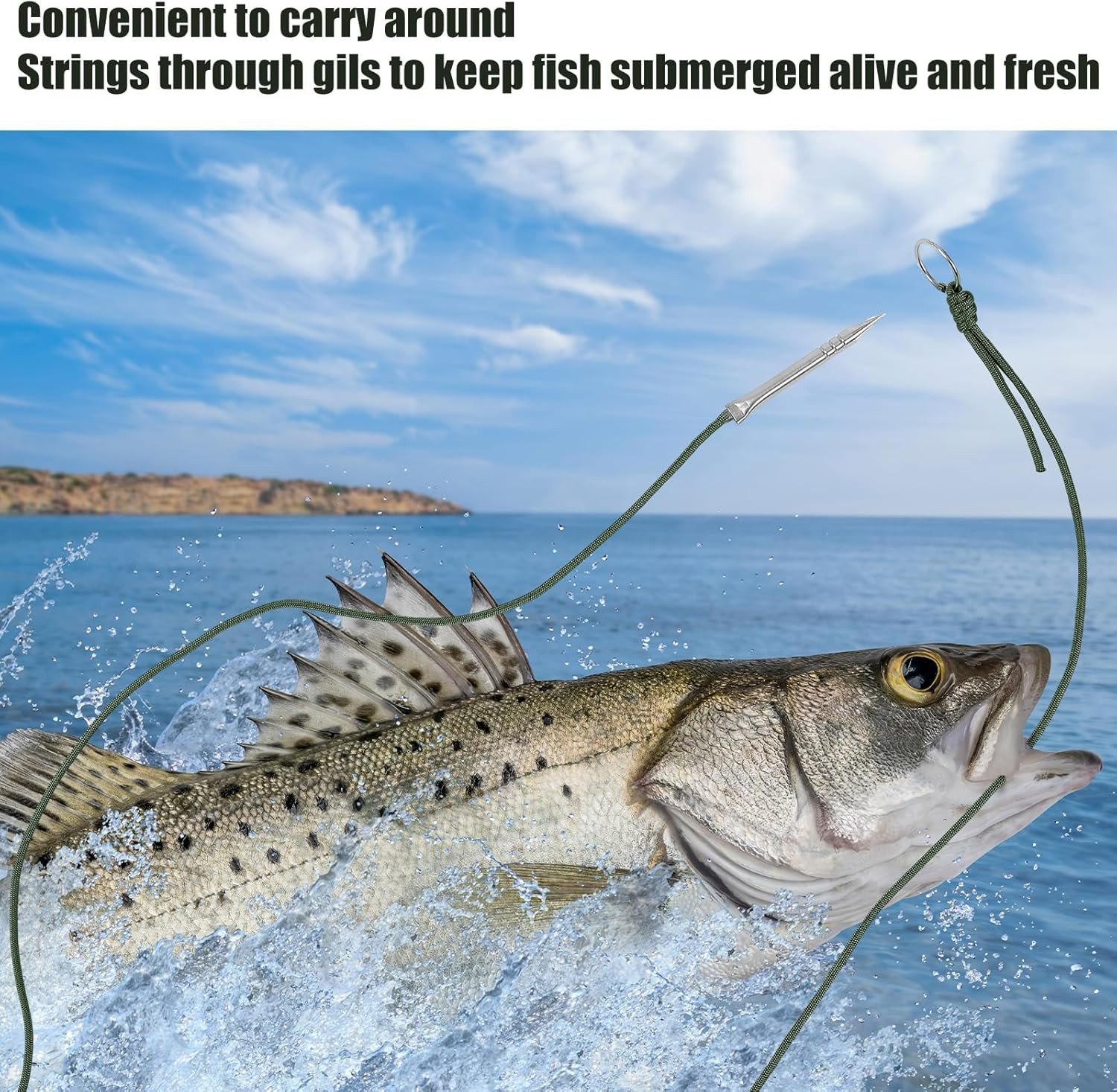 10 Ft Paracord Fishing Stringer – 2 Pack with Split Ring, 550Lb Capacity