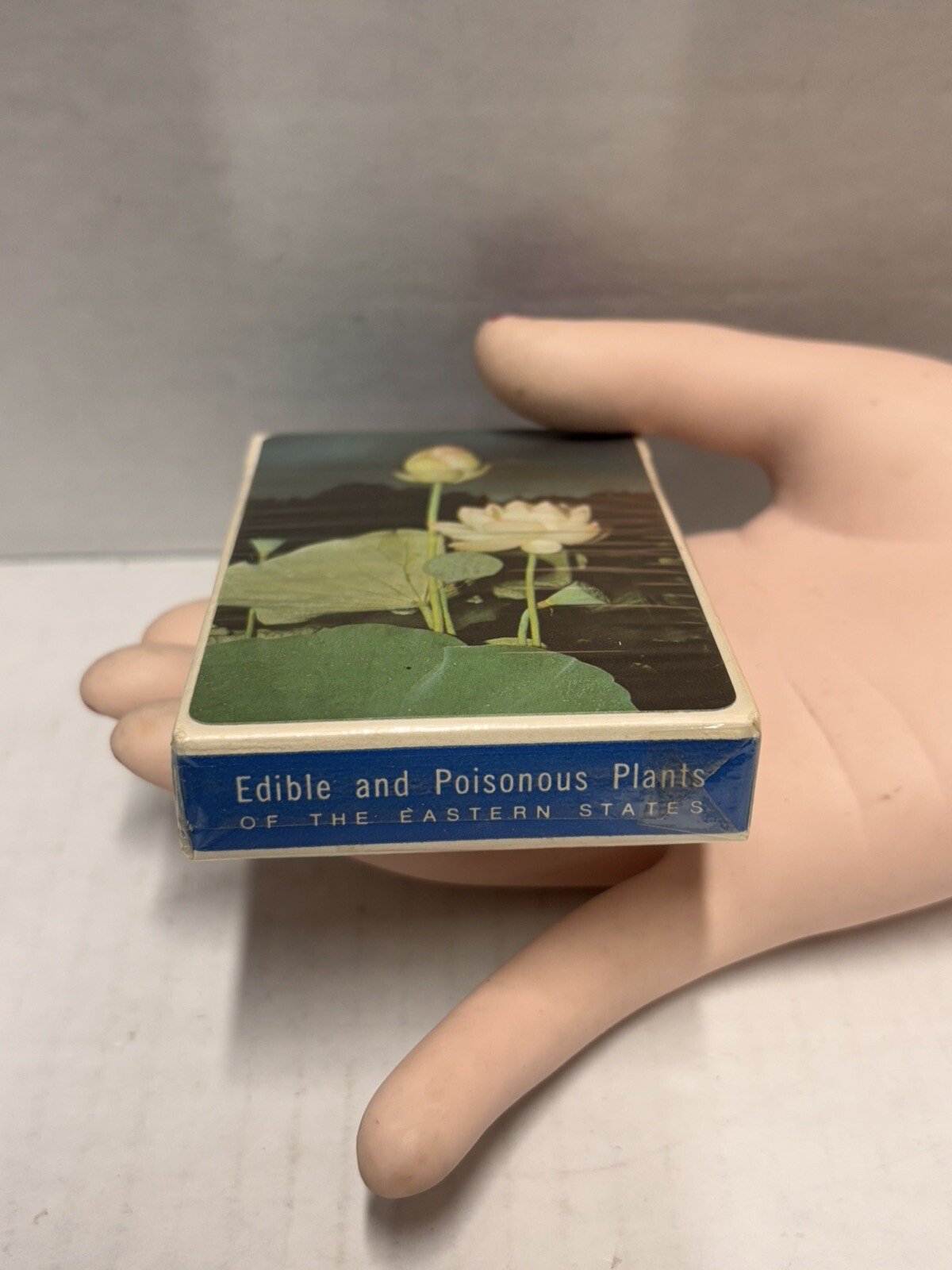 Edible and Poisonous Plant Reference Card Deck for Eastern United States Vintage