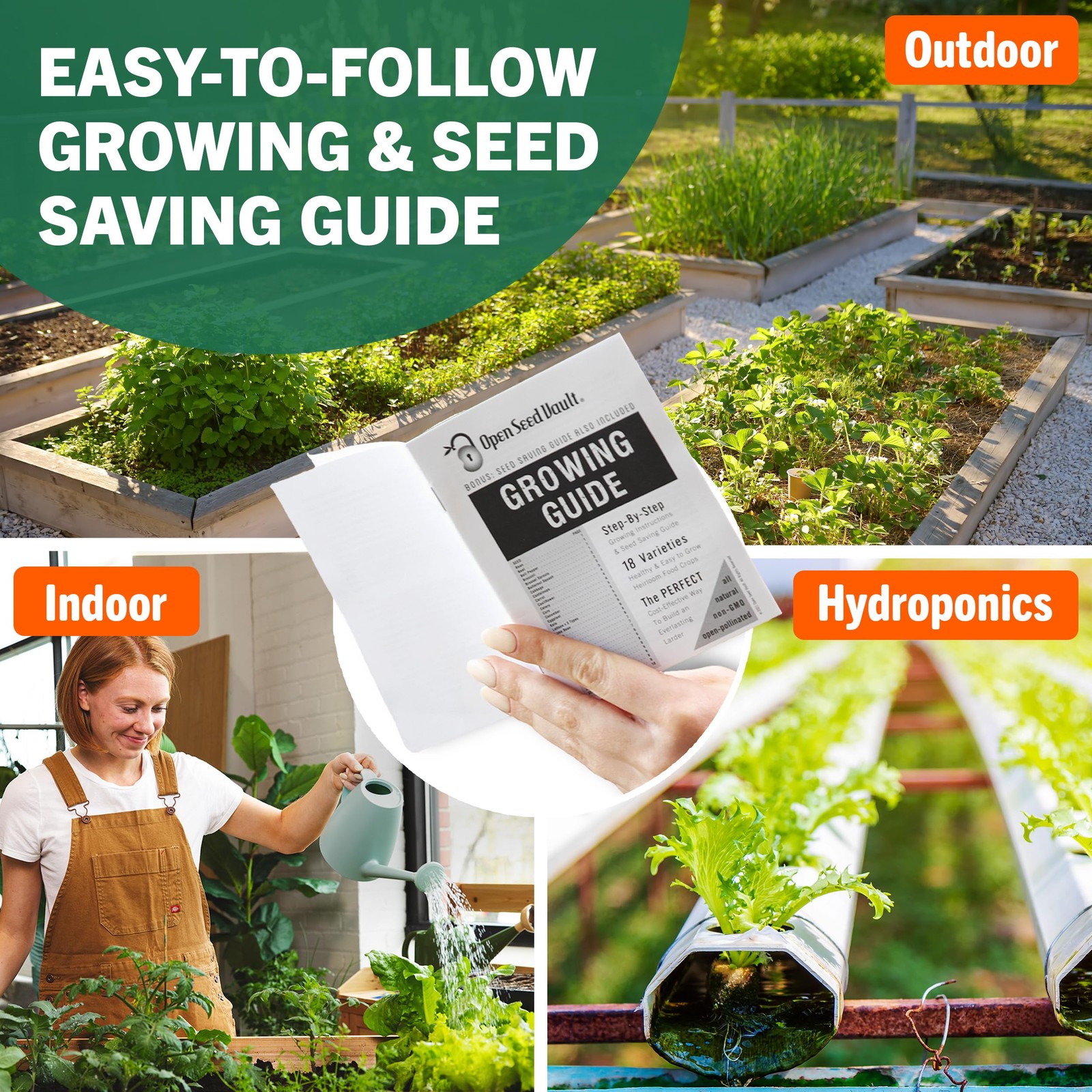 Heirloom Seeds 32 Types Non GMO Vegetable Fruit Outdoor Indoor Garden Planting