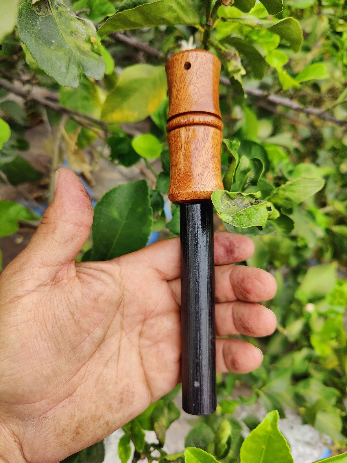 (20 mm) 13/16″ x 5 ” ferrocerium rod exotic wood handle | Ferro rod | mischmetal