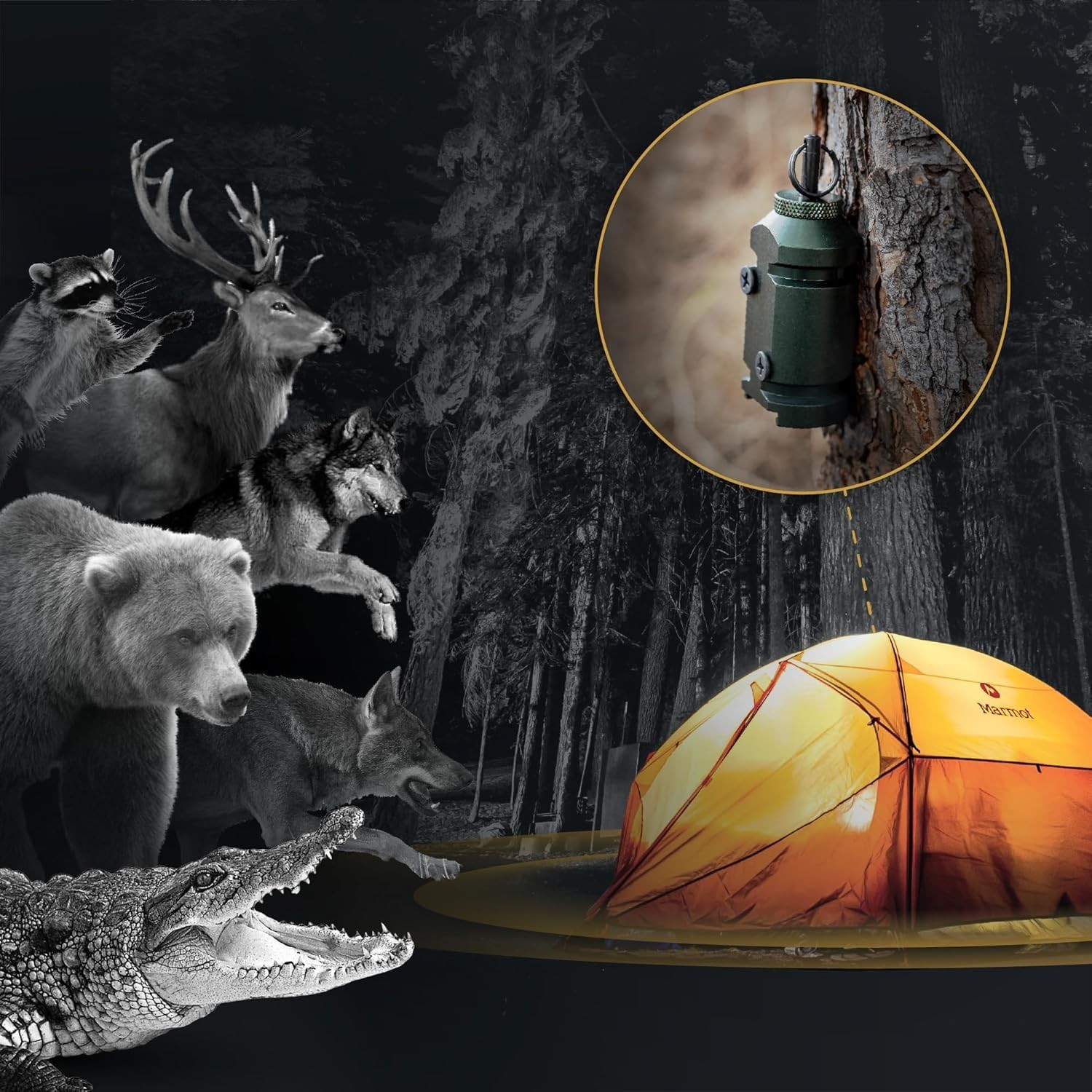 Camp Safe Trip Alarm – 172dB