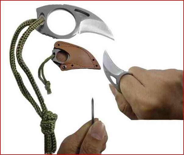Fixed Blade Samurai Katana Tanto Style Knife + Bear Claw Karambit w Leather