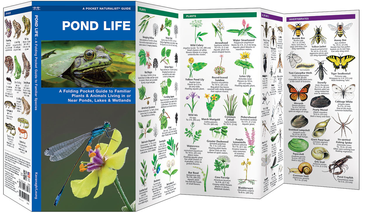 Pond Life Plants Animals Lakes – Emergency Survival Guide Bug Out Bag Kit Book