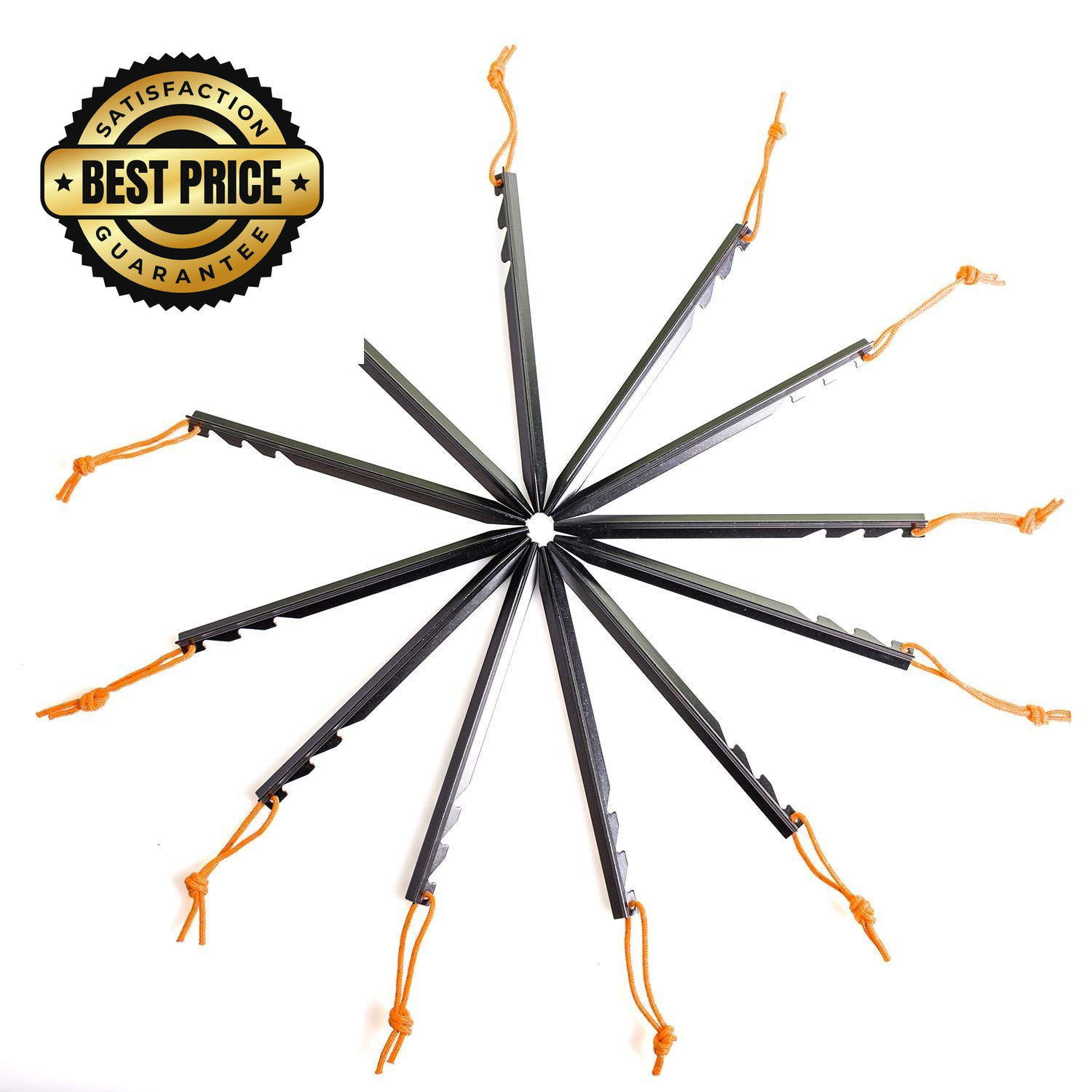 Aluminum Alloy Tent Stakes Pegs, 12-Pack Ground Pegs with Black
