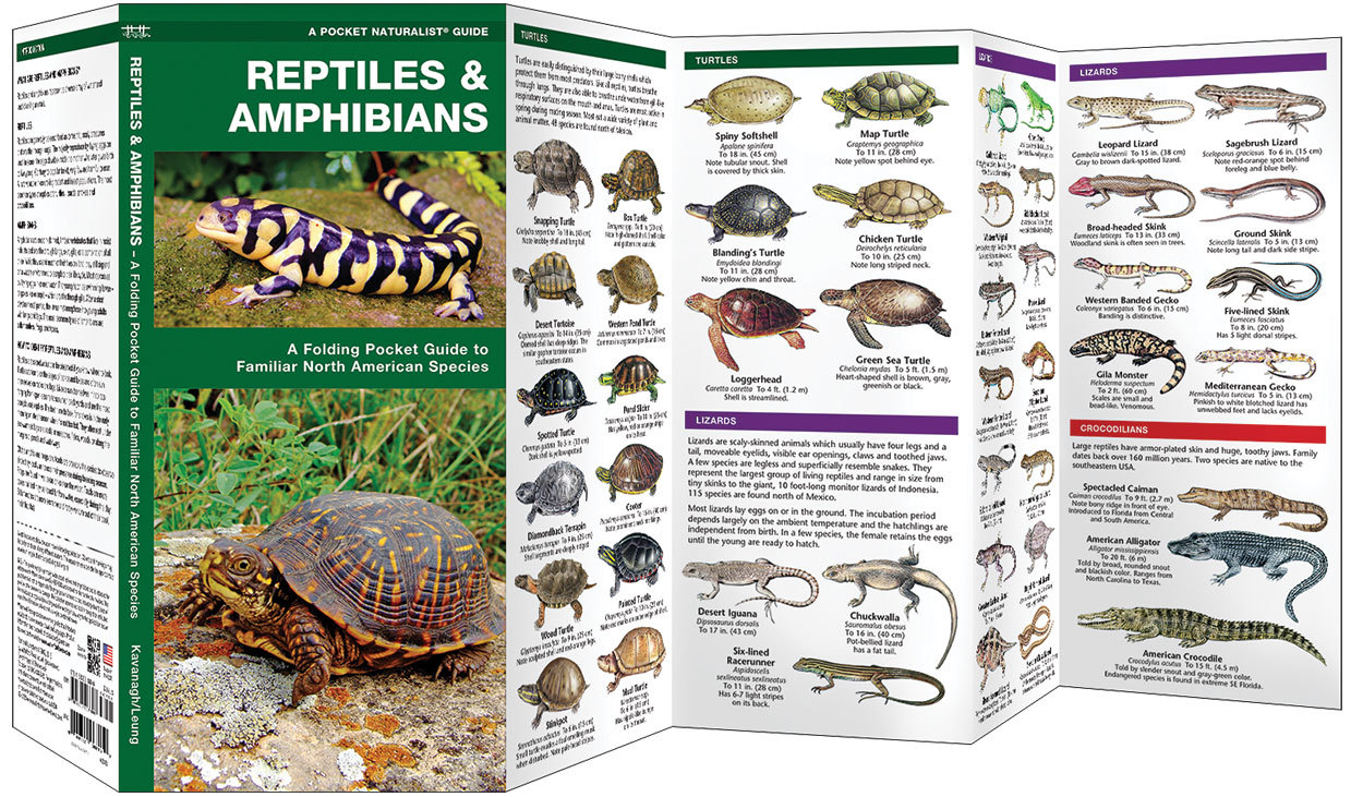 Reptiles & Amphibians – Emergency Survival Guide Bug Out Bag Kit Book