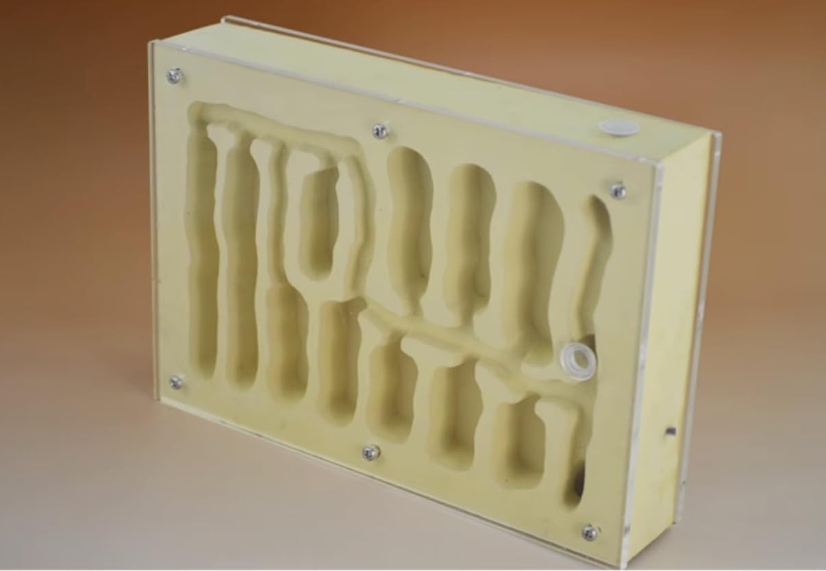 Ant Farm for Live Ants Large Viewing Range Natural Learning Toy…